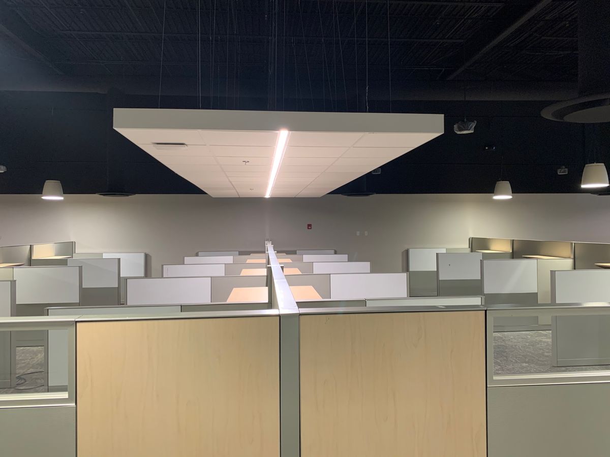 Rows of low-panel workstations under a suspended ceiling cloud in an open-plan office