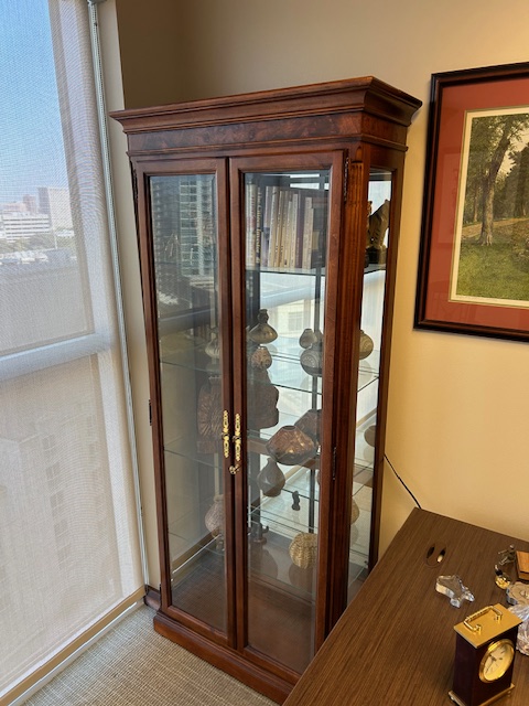 Display Cabinet 77”H