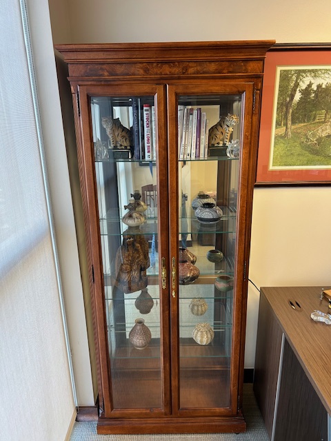 Display Cabinet 77”H