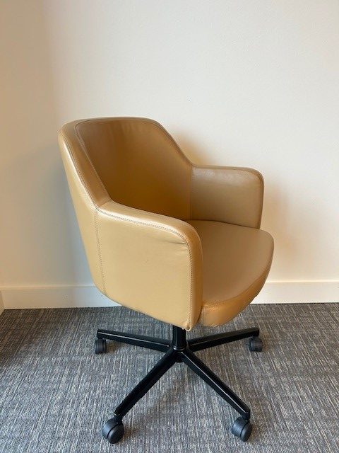 OFS Cinque conference chair