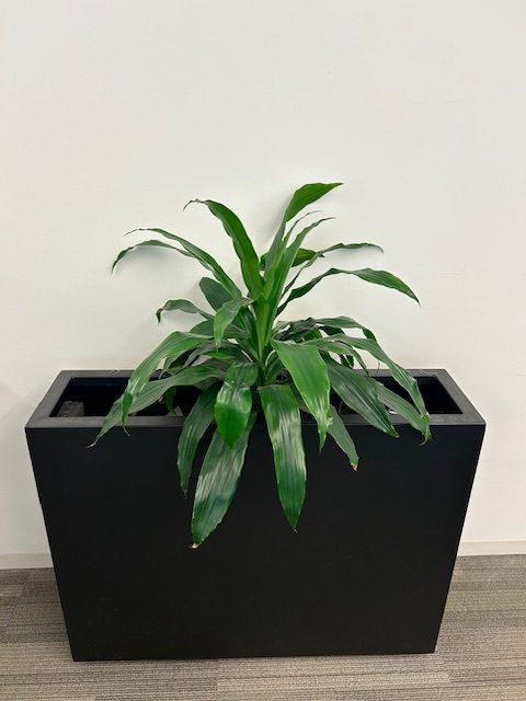 Veradek Block Span Planter — used misc for sale in DFW from Eggleston Office